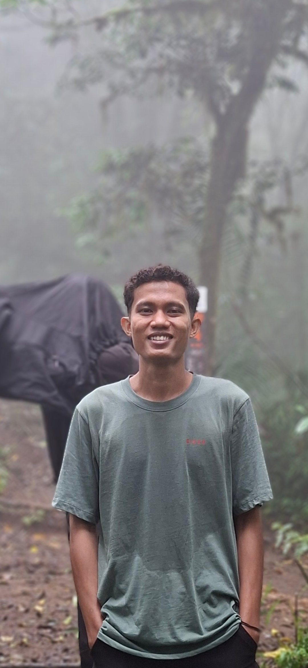 ALI IMRAN